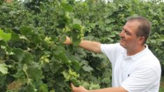 BAŞKANLAR FINDIK FİYATINI DEĞERLENDİRDİ