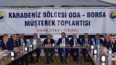 Fındığı çikolata ile buluşturup katma değerini artırmalıyız