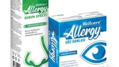 Alerji ile başa çıkmak mümkün