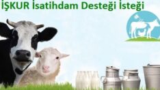 Cumhurbaşkanından hayvancılığa İŞKUR istihdam desteği isteği