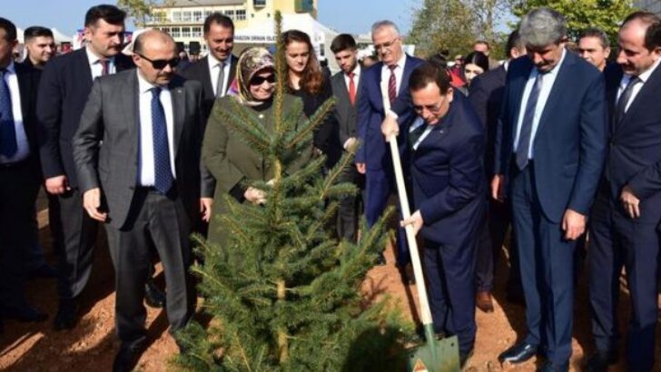 Trabzon’da fidanlar toprakla buluştu