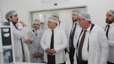 Doku Kültürü Laboratuvarı fidan ihtiyacını karşılayacak