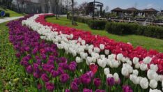 Trabzon Çiçek Bahçesine Döndü