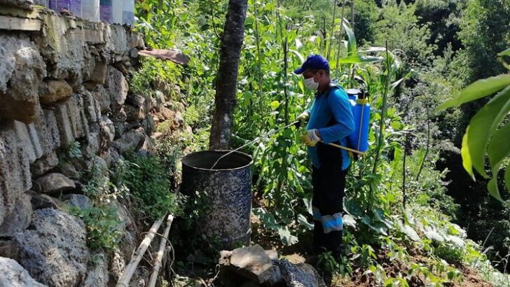 Büyükşehir İlaçlama Çalışmalarına Hız Verdi