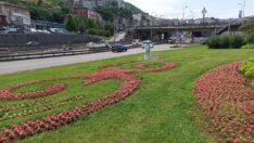 Büyükşehir Doğayı Koruyor