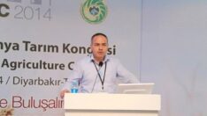 Fındık doğu da ara, batıda ise ana geçim kaynağı haline dönüşüyor