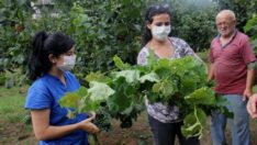 Fındık için Borsa-Üniversite İşbirliği