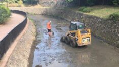 Büyükşehir Dereleri Temizliyor