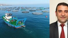 Su Ürünleri İhracatının Desteklenmesi Gerekir