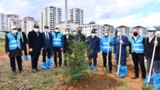 Trabzon’da 40 Bin Fidan Dikildi