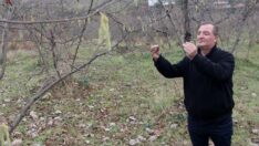 Geleceğin sektörü tarımda kendimize çeki düzen vermeliyiz