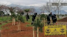 Trabzon Çiçeklerle Renkleniyor