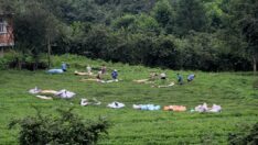 Özel sektörü mağdur etmeyecek, ayakta tutacak alım ve fiyat politikaları asla ihmal edilmemelidir