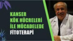 Kanser Kök Hücreleri İle Mücadelede Fitoterapi