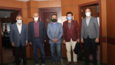 Kahverengi Kokarca böceği ile mücadele