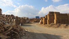 Çevre günü açıklaması