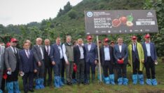 Dünya Fındık Haftası’nın ilki kutlandı