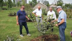 Fındık Çeşitleri Bahçesi Yeniden Düzenlenecek