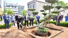 Büyükşehir İklim Değişikliğiyle Mücadeleye Devam Ediyor