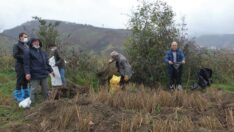 Verim ve kaliteyi arttırma projelerine, fidan desteği