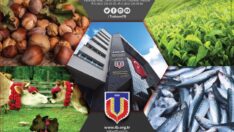 Borsada İşlem Hacmi