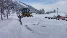 Büyükşehir Karla Mücadele Ediyor