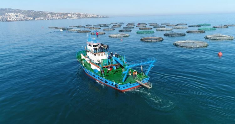 Su ürünleri sektörü Japonya ile Serbest Ticaret Anlaşması talep ediyor