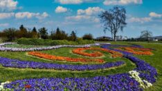 Büyükşehir Trabzon’u Çiçeklerle Donatıyor