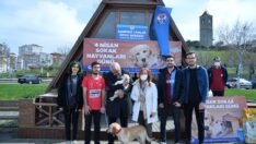 Büyükşehir’den Sahipsiz Canlara Özel Etkinlik