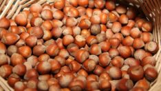 TMO 41 TL’den satışa devam ediyor