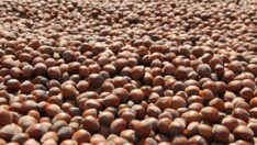 Borsamızda Haziran ayı İşlem Hacmi