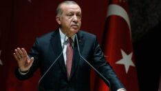 2022 Fındık Fiyatı 54 TL