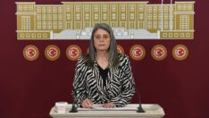 Böcekler Fındığa, İktidar Fındık Üreticilerine Dadandı