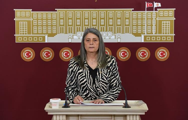 Böcekler Fındığa, İktidar Fındık Üreticilerine Dadandı