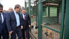 Bize Emanet Olan Canlara Sahip Çıkacağız