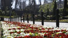 Büyükşehir Trabzon’u Çiçeklerle Süsledi